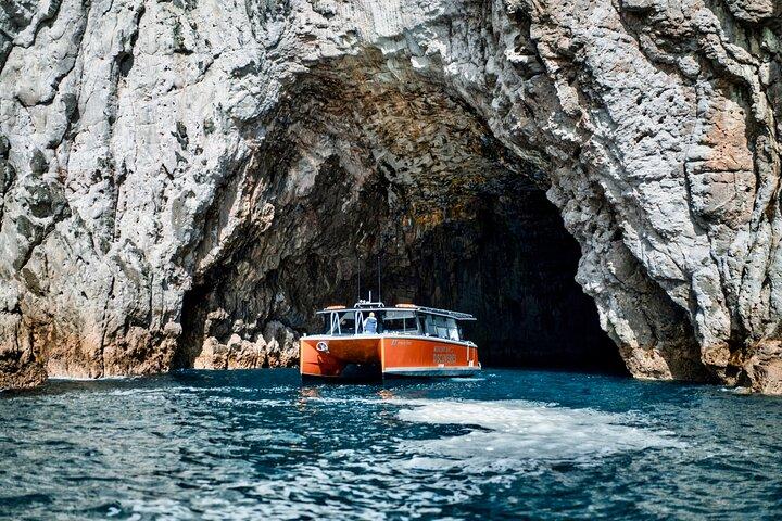 Cathedral Cove Coast and Cave Activity