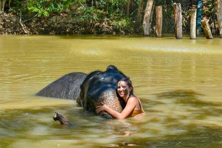 Half day visit Elephant Sanctuary Phuket (NO RIDING)