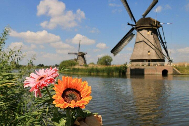 Rotterdam: Waterbus Ticket to Kinderdijk & City Audio Tour