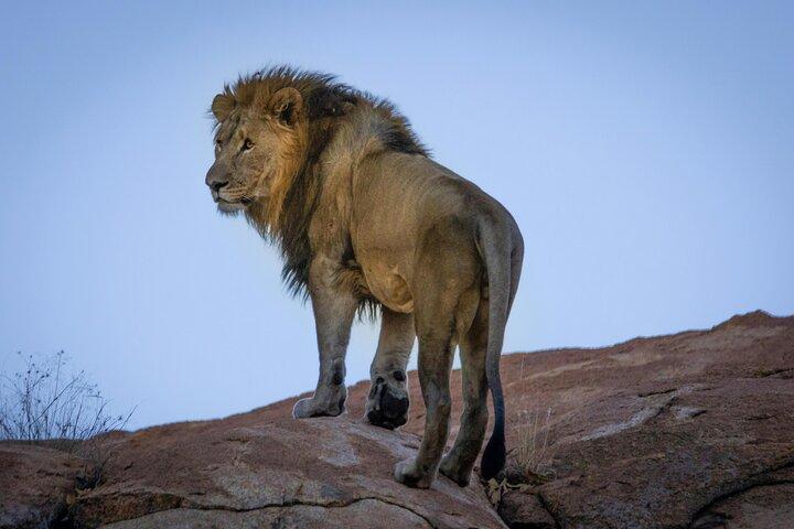 3 Day Serengeti And Ngorongoro Safari Adventure