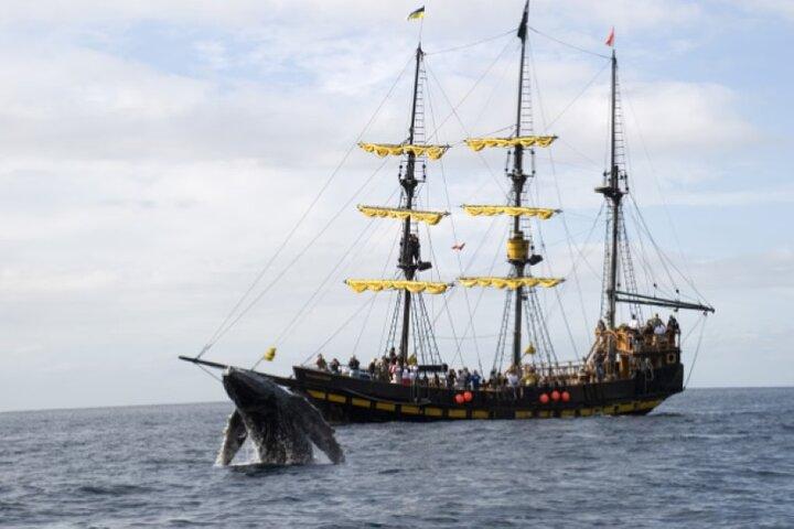 World Class Whale Watching with Breakfast and Open Bar