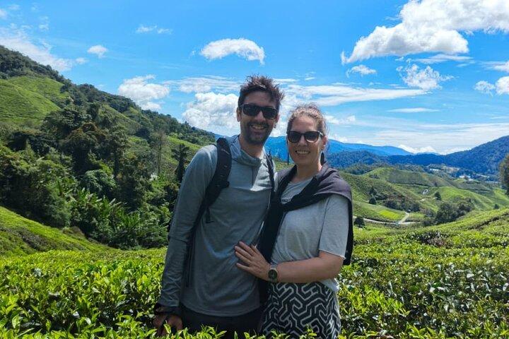 Cameron Highlands Day Tour from Ipoh -Tea Plantation