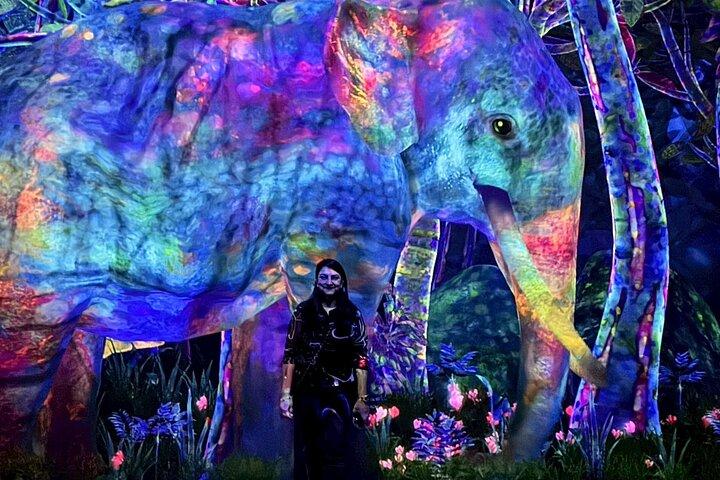 Tokyo: teamLab Planets & Toyosu Fish Market Guided Tour