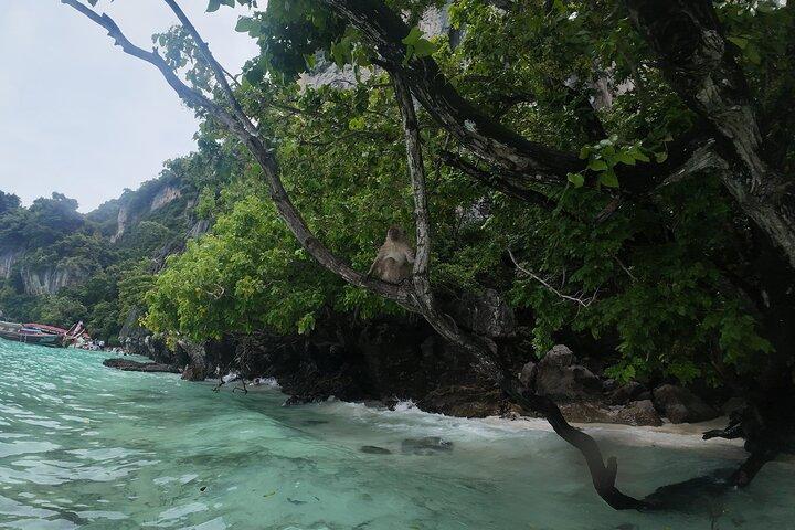 Phi Phi Islands Premium Speedboat Adventure Day Tour from Phuket
