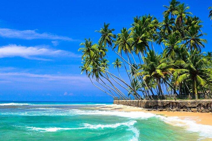 Explore Sri Lanka’s South Coast - Galle One Day City Tour
