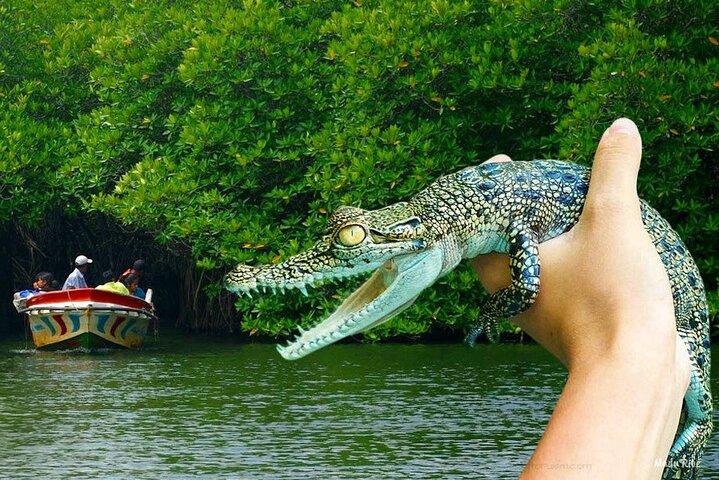 Explore Sri Lanka’s South Coast - Galle One Day City Tour