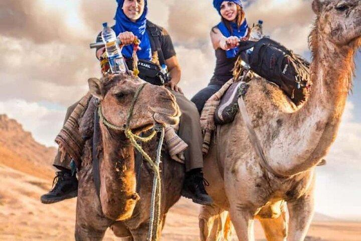 Marrakech Desert: Agafay & Quad and Camel ride, Lunch, and Pool