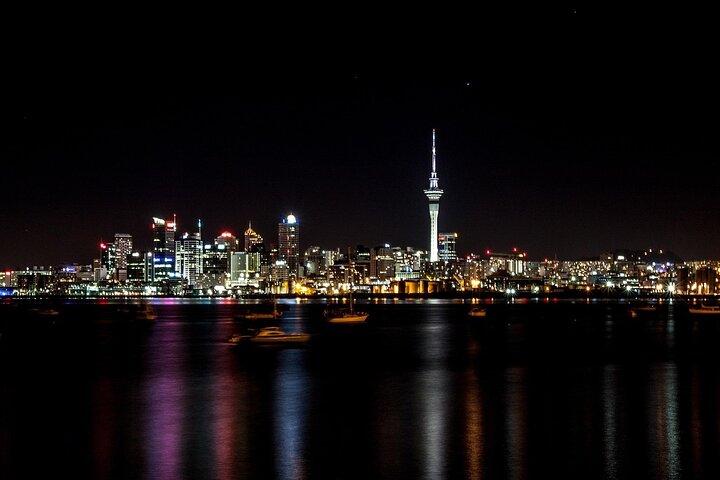 Nightlights Harbour 2 Hour Cruise Experience