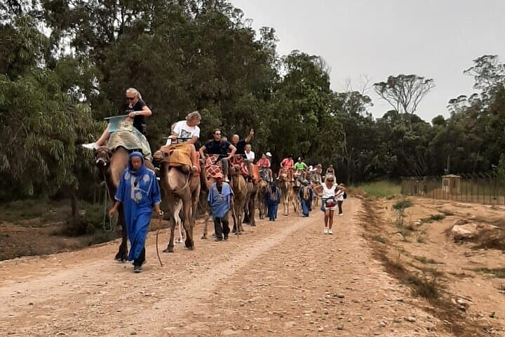 Camel Ride in Agadir & option at Sunset with BBQ and Couscous