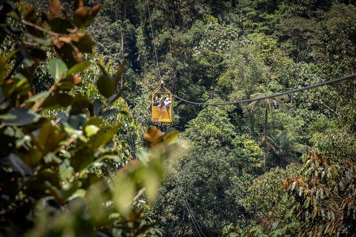 Mindo Cloud Forest Experience THE CUSTOMIZELY ONE from Quito