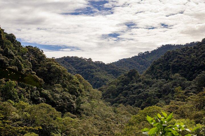 Mindo Cloud Forest Experience THE CUSTOMIZELY ONE from Quito