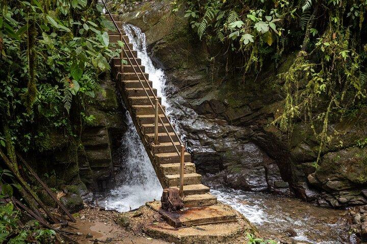 Mindo Cloud Forest Experience THE CUSTOMIZELY ONE from Quito