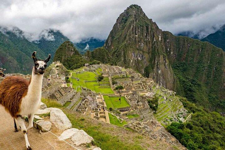 Machu Picchu Full Day Tour from Cusco