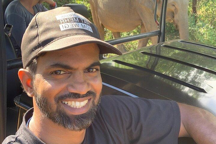 Udawalawa National Park Safari Ahungalla,kosgoda,bentota,beruwala