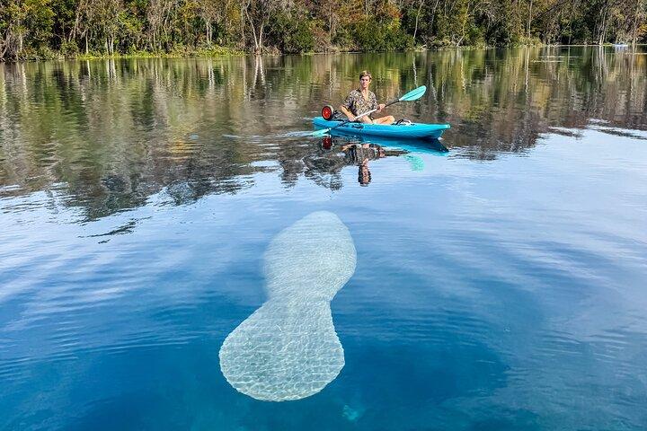 Silver Springs Glass Bottom Kayak SMALL GROUP Wildlife Tour