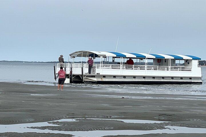 Hilton Head Dolphin Tour with Stop at Disappearing Island