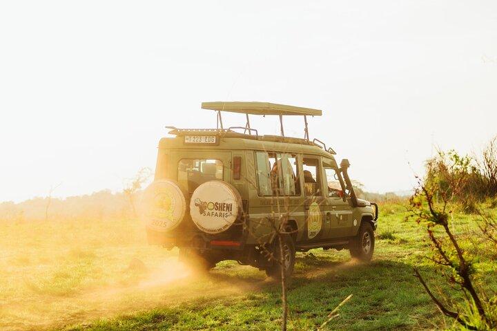 10-Day Predators Tanzania Safari Luxury Package