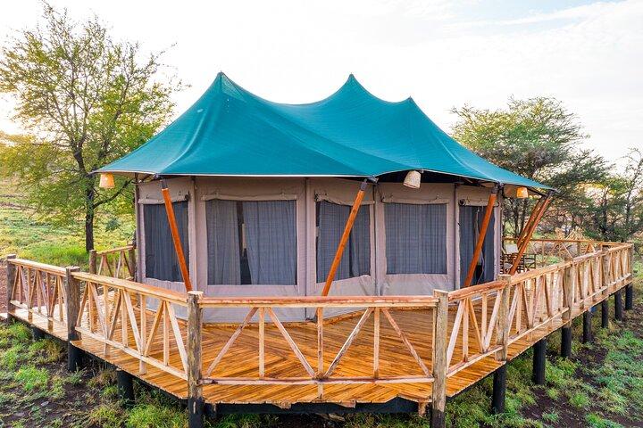 3-Day Classic Serengeti Safari
