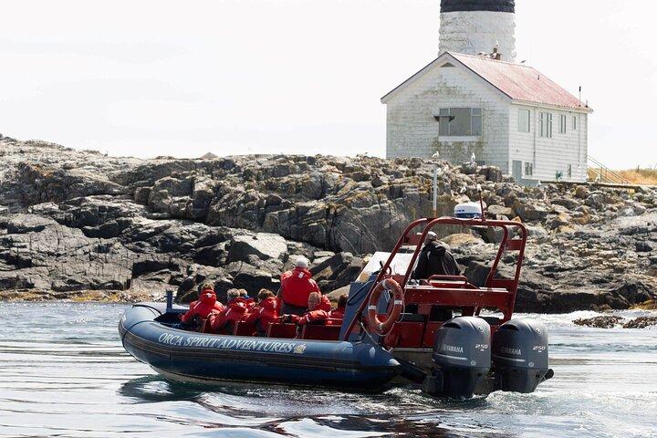Winter Victoria Whale and Wildlife Zodiac Tour