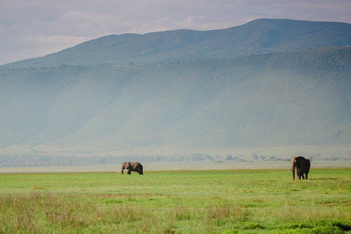 7-Day Magical Tanzania Safari -Premium High End Package