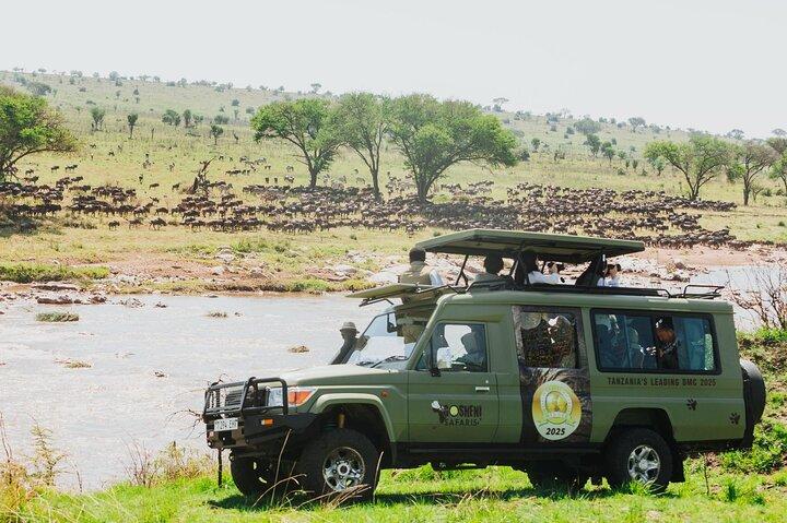 9-Day Enchanting Tanzania Safari -High End All Inclusive