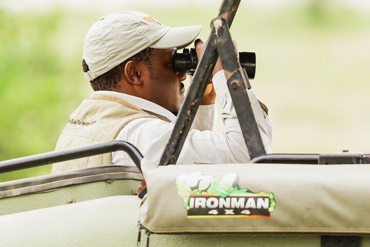 9-Day Enchanting Tanzania Safari -High End All Inclusive