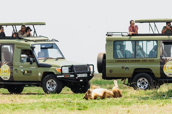 9-Day Enchanting Tanzania Safari -High End All Inclusive