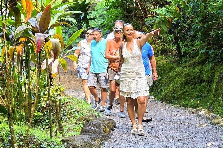 Private Tahiti Circle Island - Waterfalls, Black Sand & Views