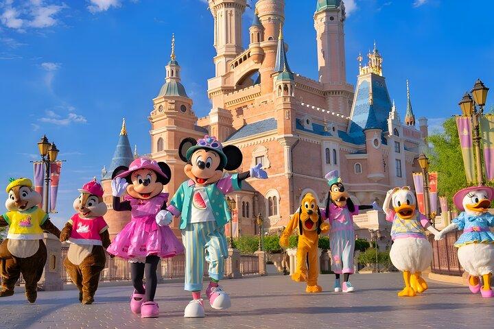 Tokyo Disneyland Ticket & Optional Tokyo Subway Pass