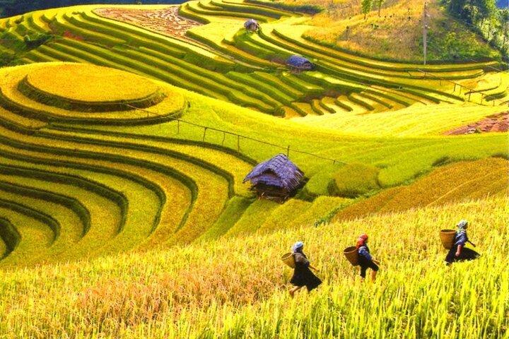 2 Day Mai Chau Journey Villages Rice Fields and Local Life