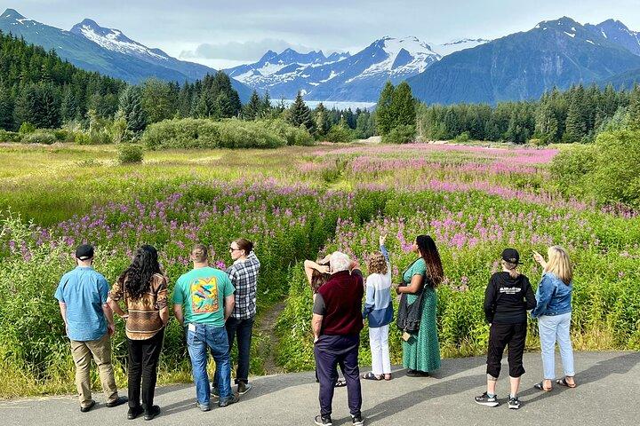 Craft Brews & Epic Views: Juneau's Brewery & Sightseeing Tour
