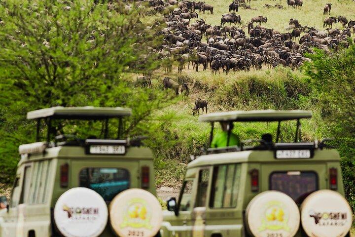 10-Day Epic Tanzania Migration Safari - River Crossing
