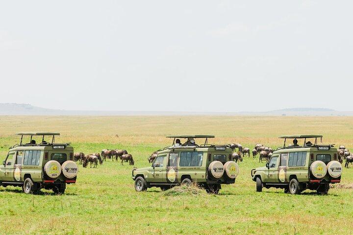 10-Day Epic Tanzania Migration Safari - River Crossing