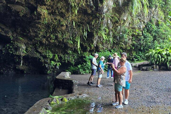 Small Group Shared Tahiti Circle Island Waterfalls and Views