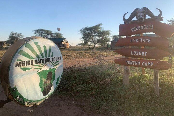 Discover the 5-Day Great Wildebeest Migration Mara River Crossing