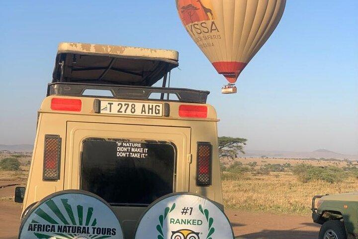 The World's Best 1 Day Tarangire Budget Group Safari From Arusha