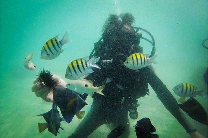 Dubai Jumeirah Scuba Dive Guided Underwater Adventure