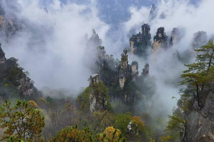 Zhangjiajie National Forest Park Tickets Booking
