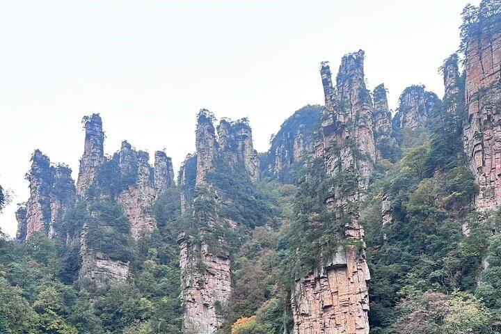 Zhangjiajie National Forest Park Tickets Booking