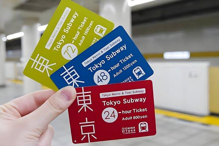 Tokyo Disneyland Ticket & Optional Tokyo Subway Pass