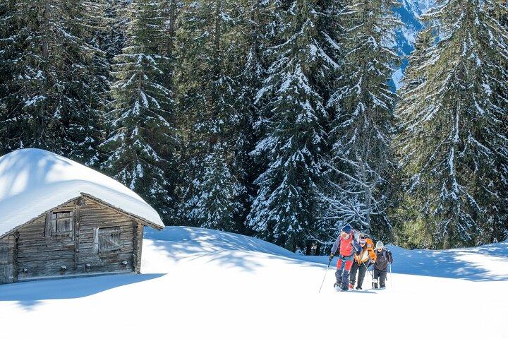 Snowshoe Tour Wetterhorn Grindelwald