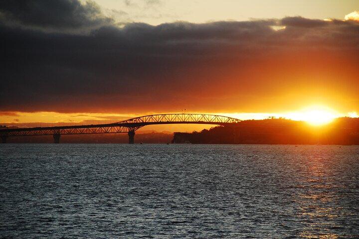 Guided Auckland Highlights Half Day City Tour