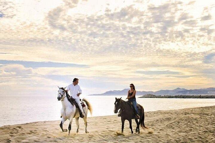 Cabo San Lucas Sunset Horseback Ride on the Beach