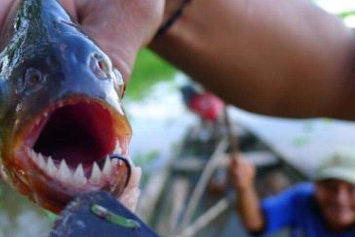Piranha Fishing in Tambopata