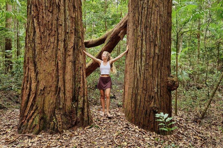 2 Day K'gari (Fraser Island) Small Group Camping Tour