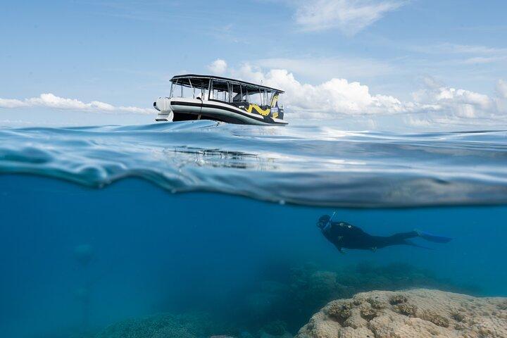 Great Barrier Reef Small Group Snorkelling Adventure