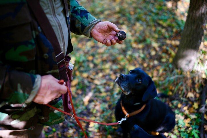 Black Truffle Hunt, Foie Gras & Wines with Budapest Pickup
