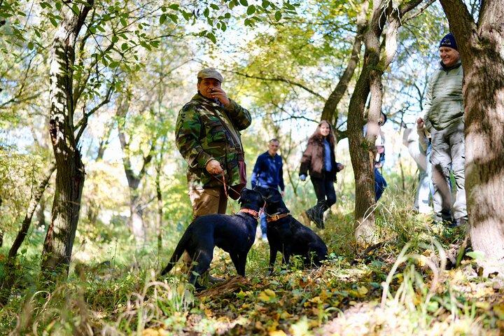 Black Truffle Hunt, Foie Gras & Wines with Budapest Pickup