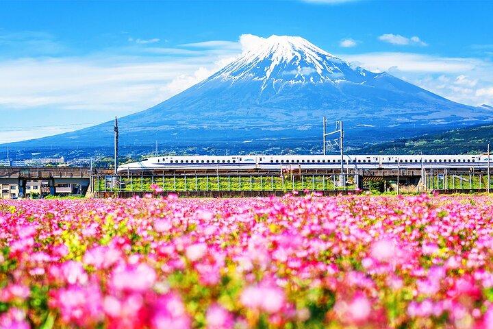 Mt. Fuji and Hakone Day Tour with Bullet Train Return