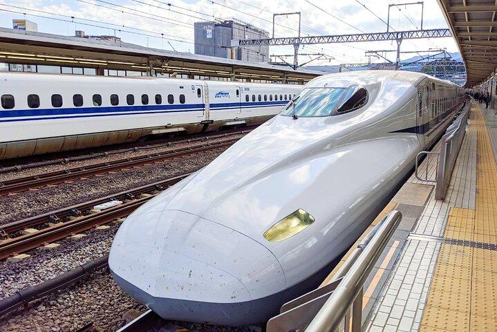 Mt. Fuji and Hakone Day Tour with Bullet Train Return